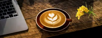 Blog Conversa Pronta, com receitas rápidas, cultivo em casa, cuidados com pets e ideias práticas para seu dia a dia, tambbém no celular.