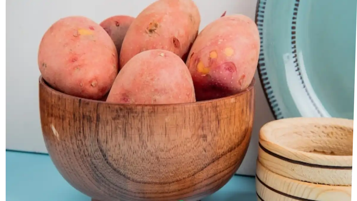 Lucrar com batata descascada, natural e cortada, dicas completas no blog Conversa Pronta.