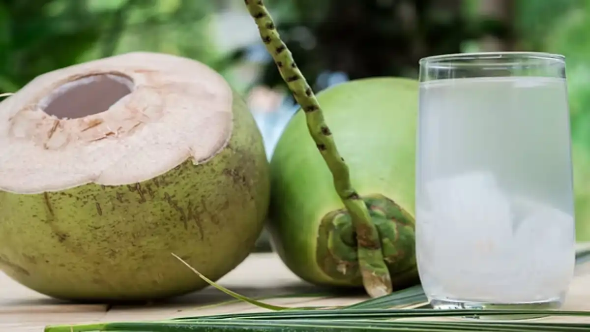 Agua de coco verde sendo usada na alimentação na quimioterapia, no blog Conversa Pronta.