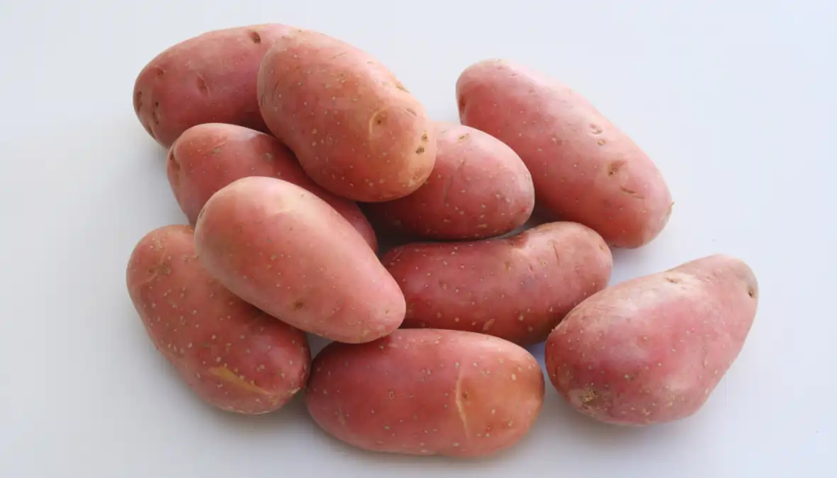 Batata frita usando a batata asterix, mais seca e ideal para frituras, dicas no blog Conversa Pronta.