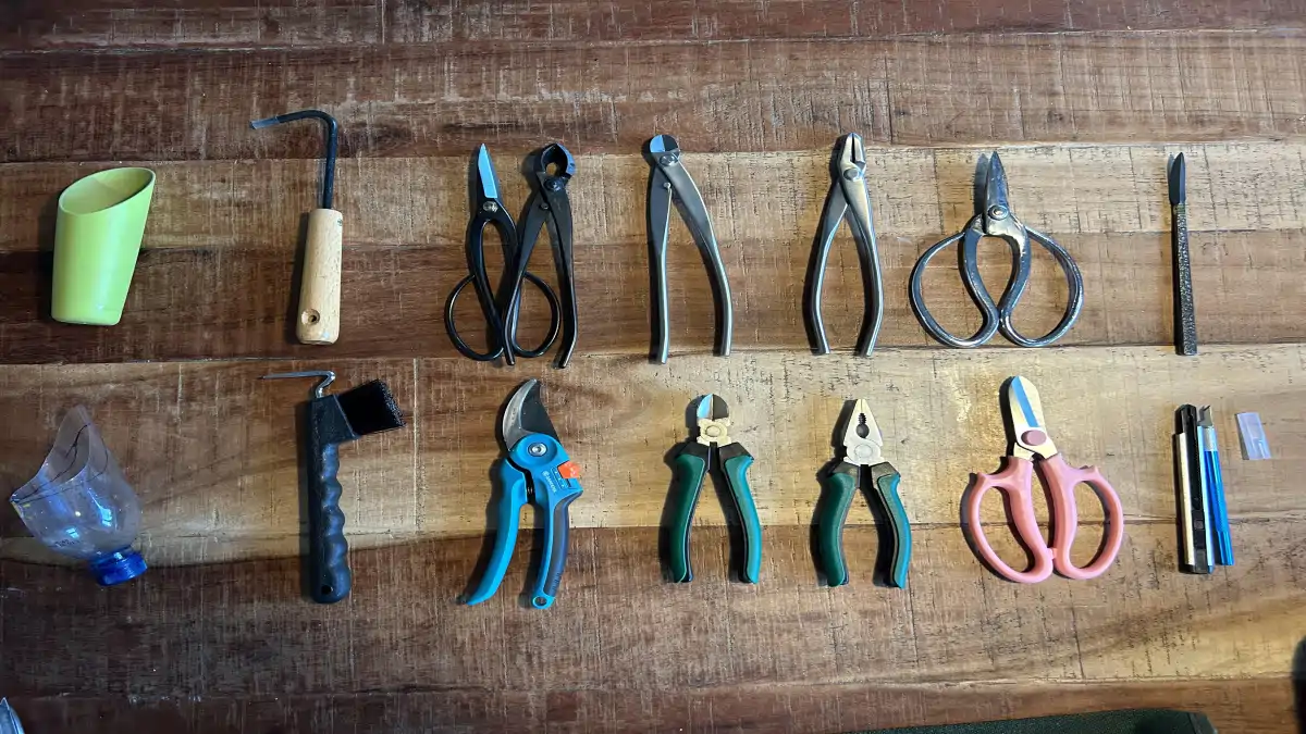 Meu primeiro bonsai e suas ferramentas estão no blog Conversa pronta.